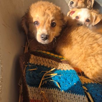 628049021 1420009959593879 6807020278828129667 n