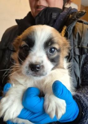 628151733 25934940276146554 7098053592469158237 n