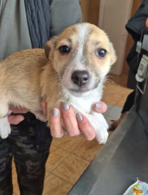 628233402 25934538766186705 66155852460676313 n