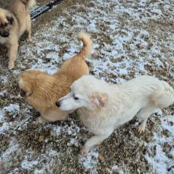 628258150 1640860610410909 1383233540992000895 n