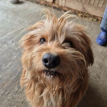 628261824 1268066355214113 3794654284154406668 n