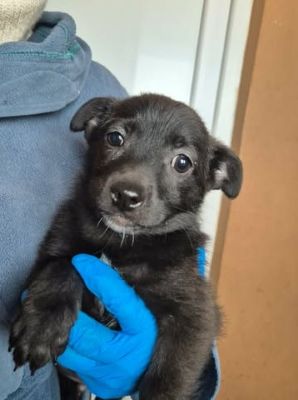 628315042 25934719809501934 1651635281077419245 n