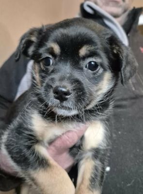 628418747 25935028159471099 2341576236331243284 n