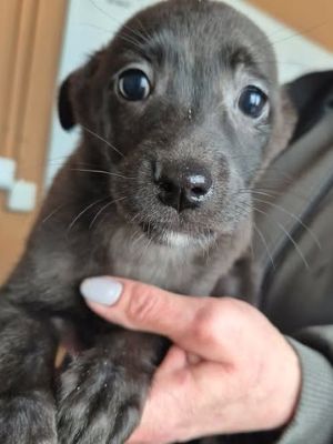 628425083 25934440859529829 3756489584388071689 n