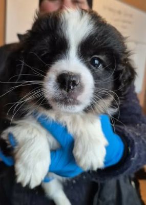 628496769 25935120746128507 900288736225272339 n