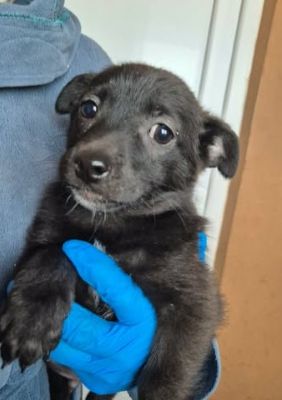 628523276 25934720072835241 8910406895325845602 n