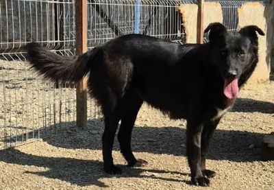 628578141 1158469776254638 5410031392852384876 n