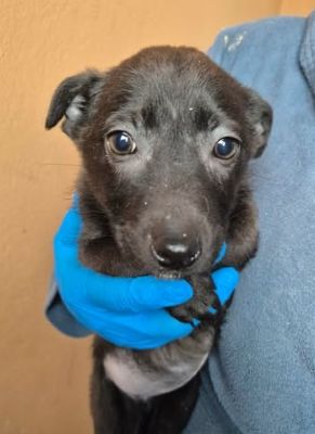 629254810 25934625056178076 502977046684875968 n