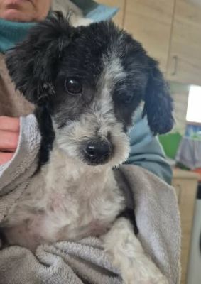 629275265 25934781642829084 8177643966363080393 n