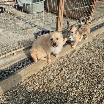 629430201 3751005088369791 5674570558829638153 n