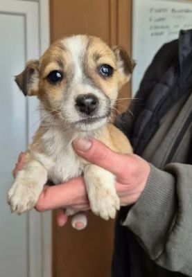 629436440 25934538486186733 3880527730848890482 n