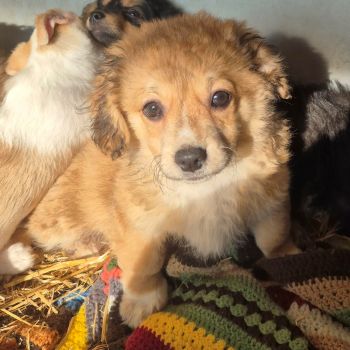 629465384 870298065909257 4204885305030883700 n