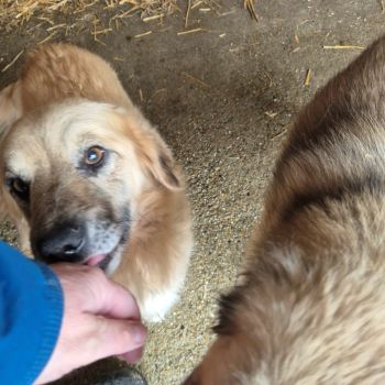 629489566 1441989927640390 6613724365576243793 n