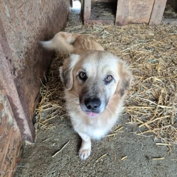 629571954 1229180792751079 1910321456877243084 n