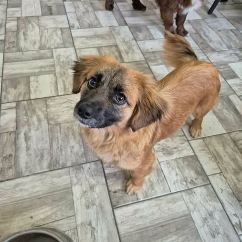 629719946 2755409224843562 2986945655471103576 n