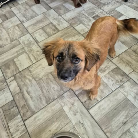 629743087 2755409211510230 1988859491292199298 n