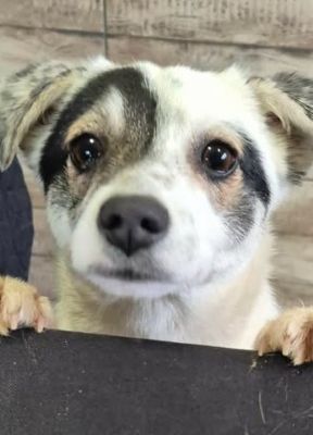 629862455 2755394024845082 7601042649154740850 n