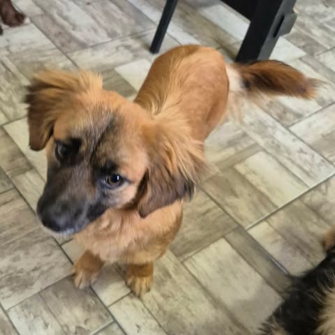 630209637 2755409154843569 8304139206235044431 n