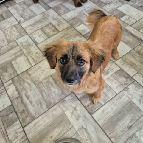 630461741 2755409148176903 7874843619621587739 n