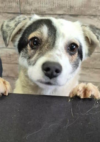 631075014 2755394021511749 7961884432743331564 n