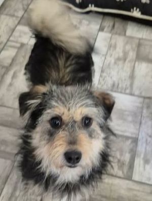 631259608 2755413598176458 630321943901809196 n