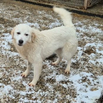 631429279 3041296312736306 1652135176140654327 n