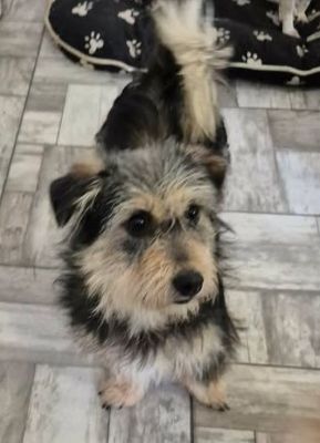 631593253 2755413511509800 7347537396191438712 n