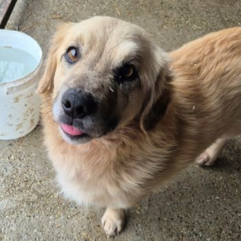 631796964 2444120936006637 5011246022630983101 n