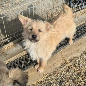 633434613 840998305640034 8118118022329326325 n