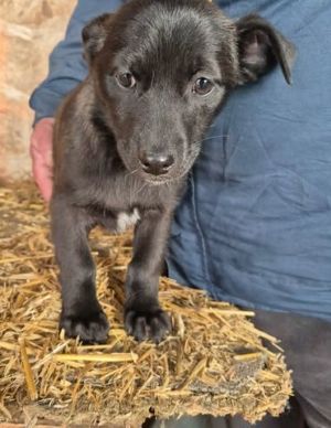 633707163 895337036631941 457001223186018049 n