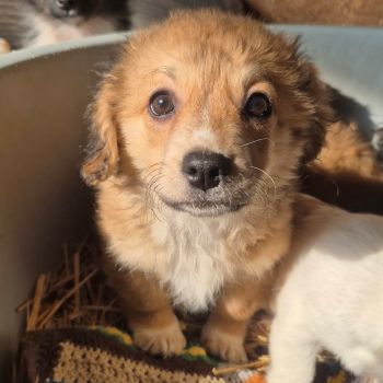 633979581 1423267309326783 8860961757843219445 n