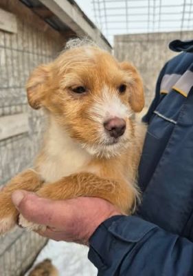 633987303 1249570050719714 3448767578294523999 n