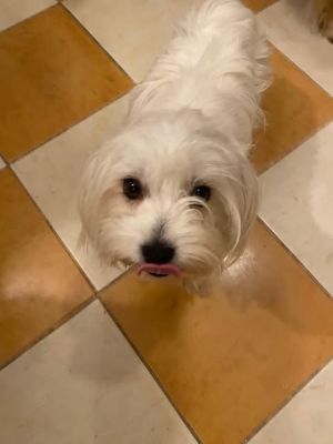 633990912 1625104138489947 7544877719823365116 n