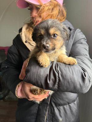 633992680 26019239041050010 1467490050389756557 n