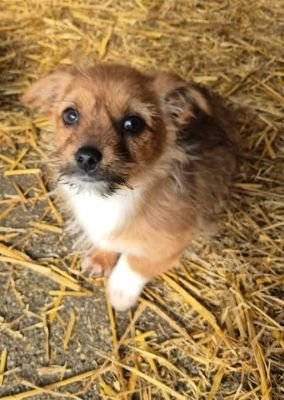 634258455 1451131963060980 1903996520632655328 n