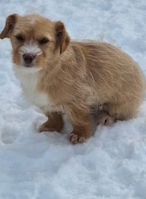 634390423 1558566595217584 5233172335750570775 n