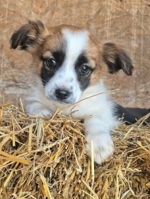 634685022 2165932160896976 4776010580883433205 n