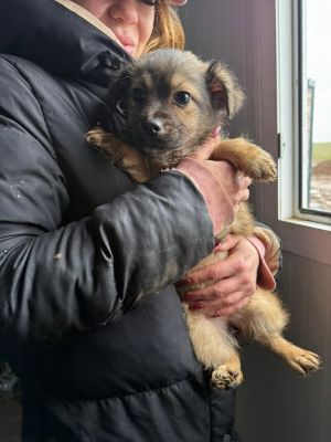 634833420 26019274107713170 2894175371167747345 n