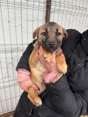 634848092 26019728217667759 716547193746517711 n