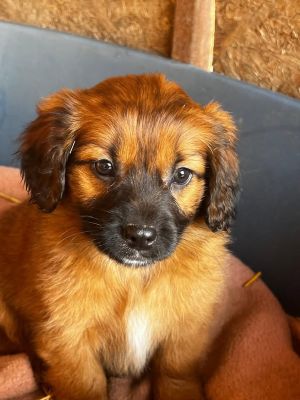 634853794 26016799757960605 2406152525370698680 n