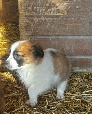 634961941 26016787721295142 9026472849869047503 n