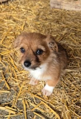 635005218 1188796076658655 6785912668174628715 n