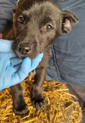 635005218 1412978106975781 7455086470569960964 n