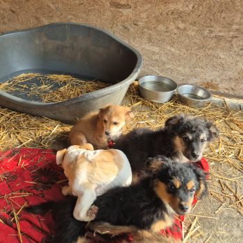 635116533 1442887750522850 3587732479644780502 n