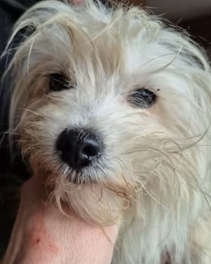 635129007 25997381113235803 4440431024947456498 n