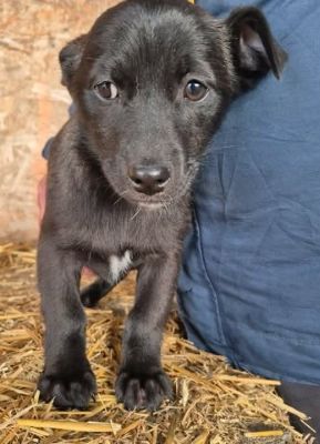 636702703 922585840245680 4655296227981161087 n