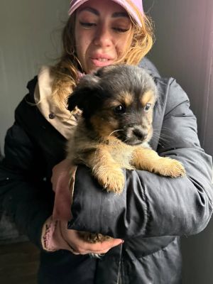 637204151 26019239281049986 2090184792000610331 n