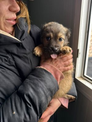 637378201 26019274111046503 8243293799082270370 n