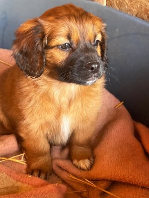 637700575 26016799751293939 4024897038238335758 n