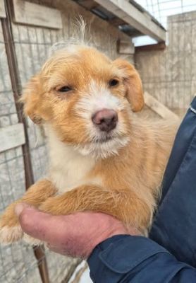 639037137 889395020370505 8047801889582495110 n